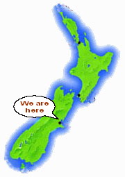 NZMap